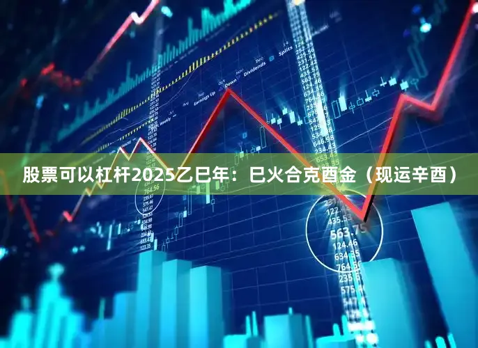 股票可以杠杆2025乙巳年：巳火合克酉金（现运辛酉）