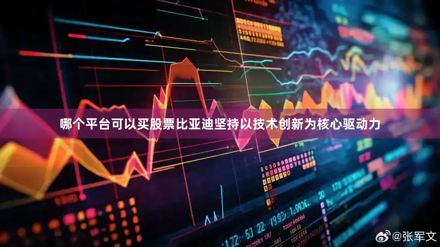 哪个平台可以买股票比亚迪坚持以技术创新为核心驱动力