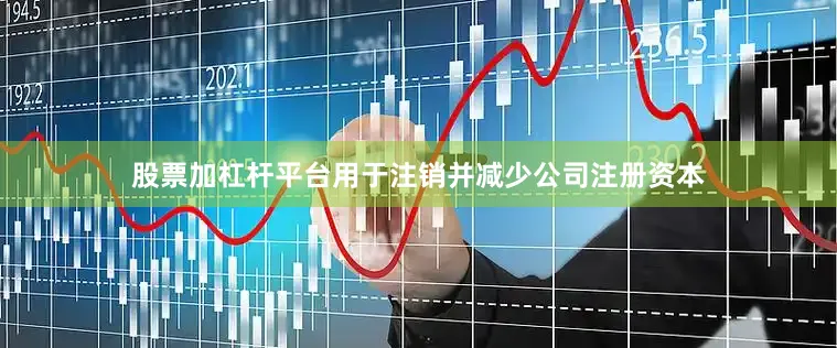 股票加杠杆平台用于注销并减少公司注册资本